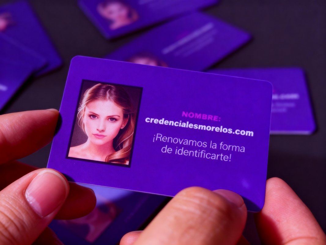 Equipo de Credenciales Morelos trabajando en un diseño